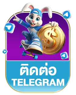 แบนเนอร์ 13
